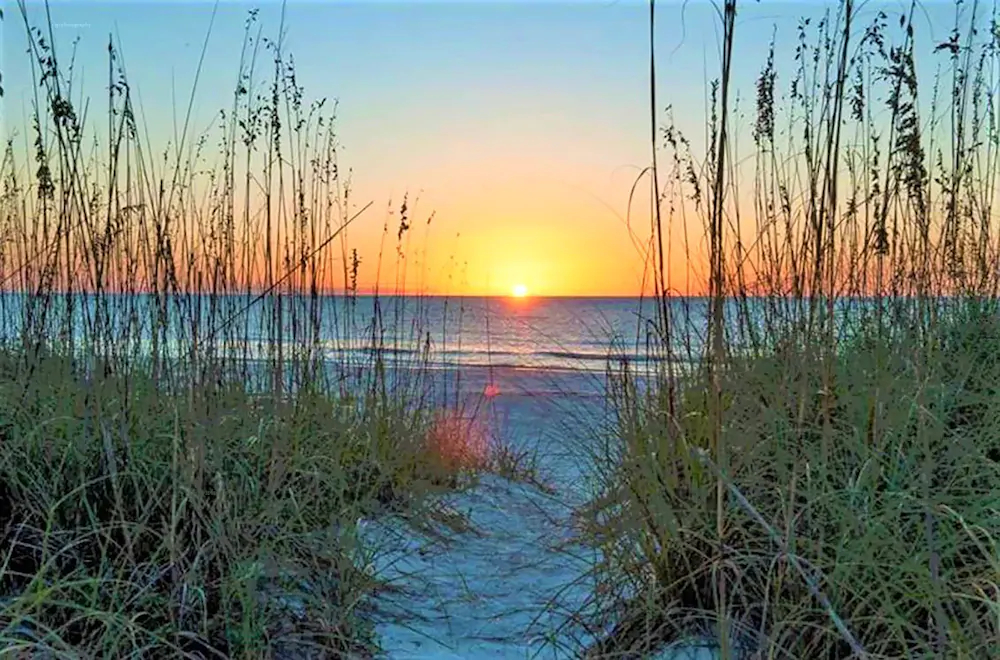 Tropical Beach Escape