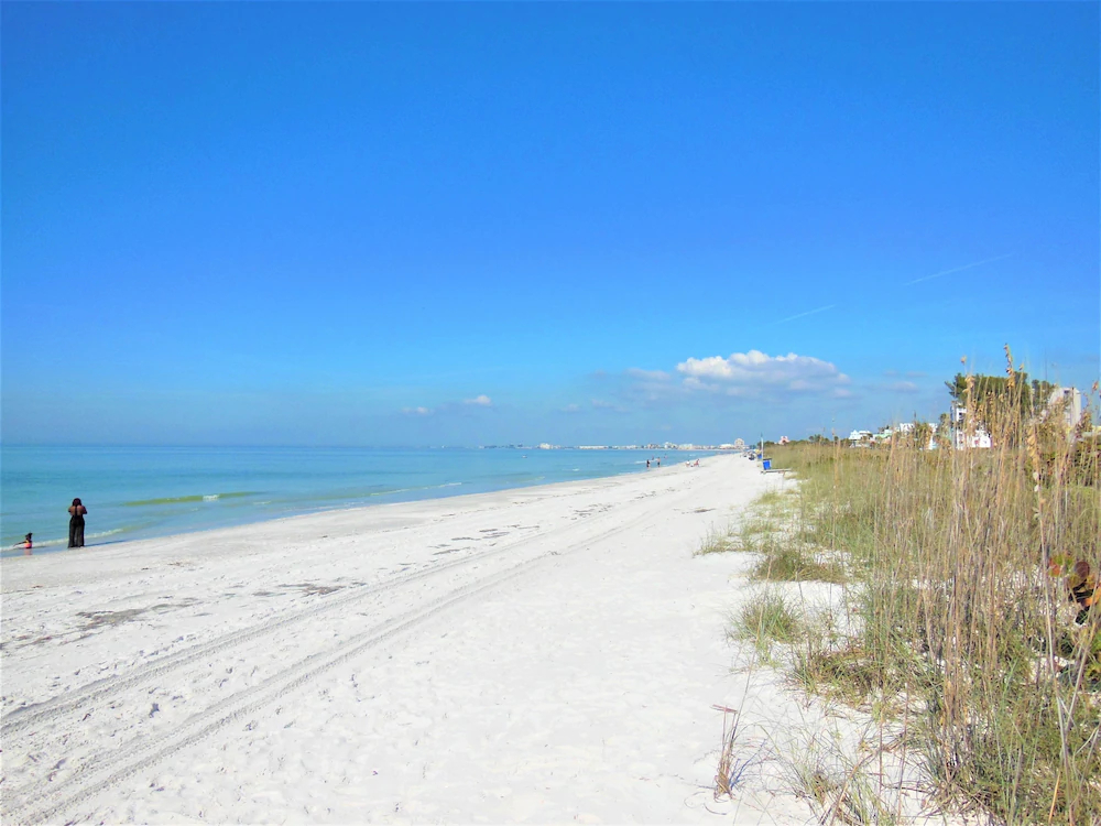 Tropical Beach Escape