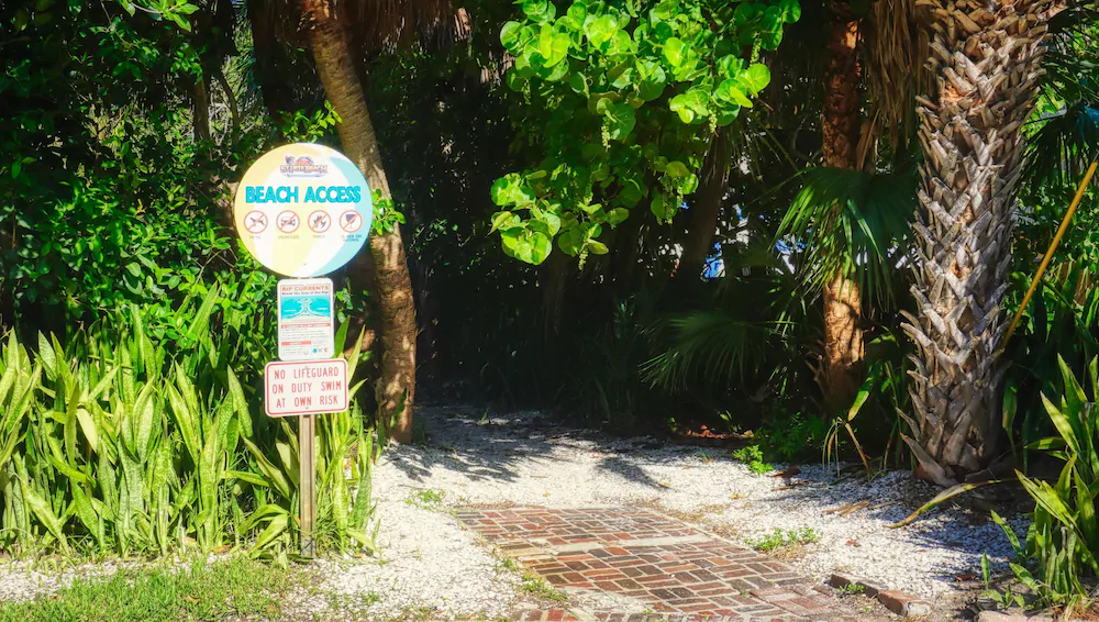 Tropical Beach Escape