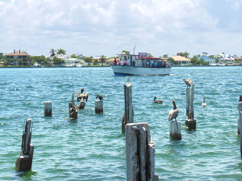 Tropical Beach Escape