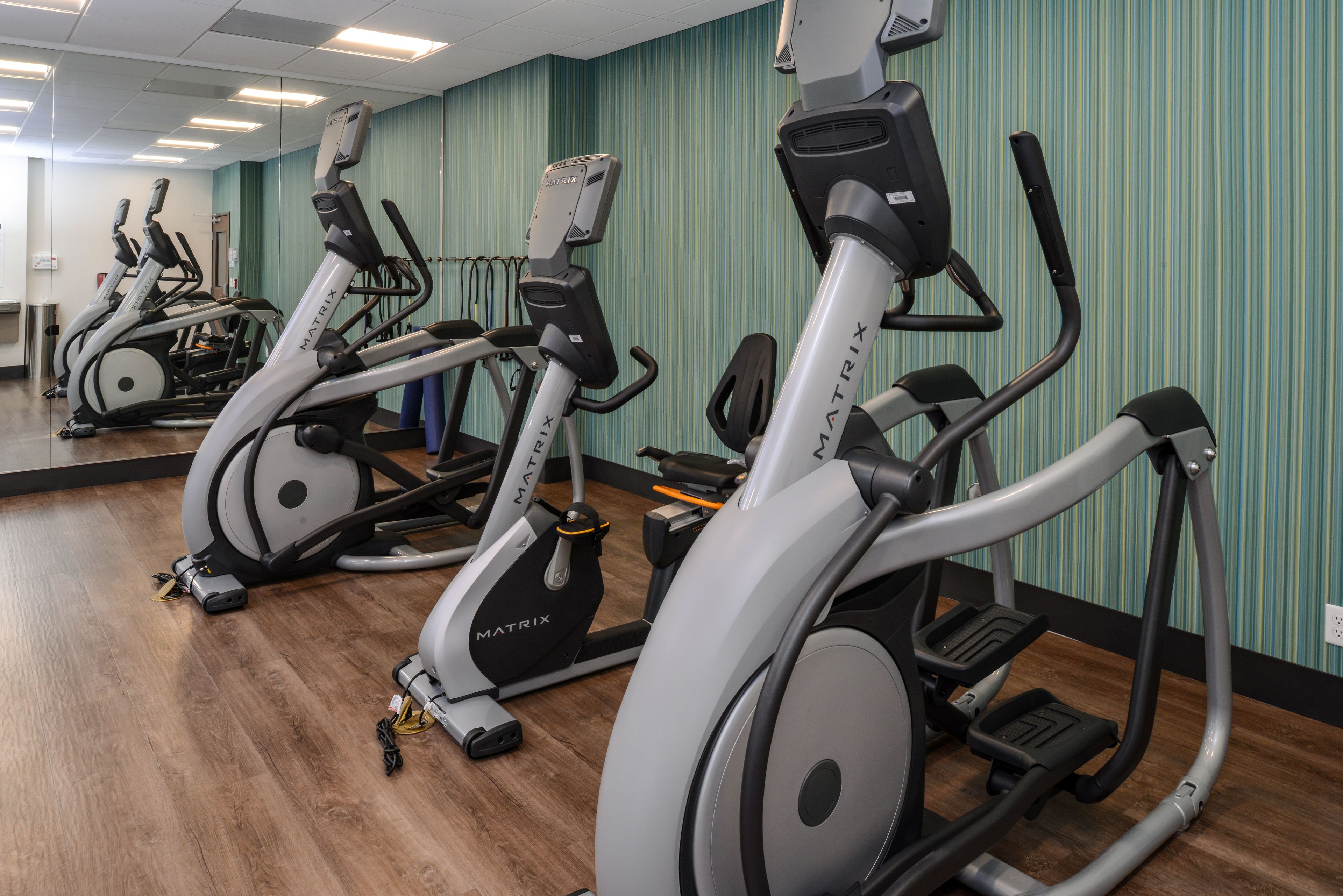 Holiday Inn Express & Suites St. Petersburg - Seminole Area