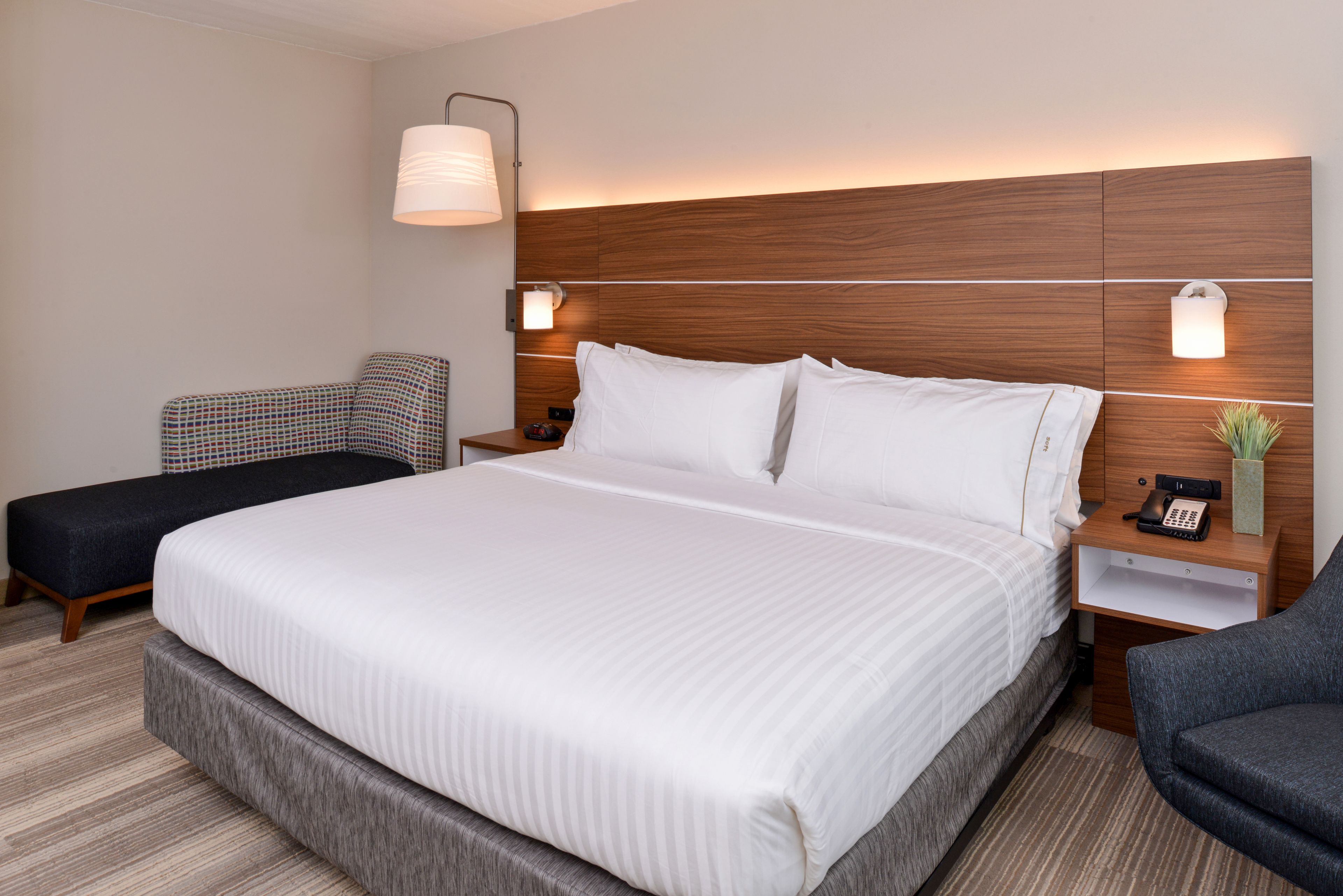 Holiday Inn Express & Suites St. Petersburg - Seminole Area