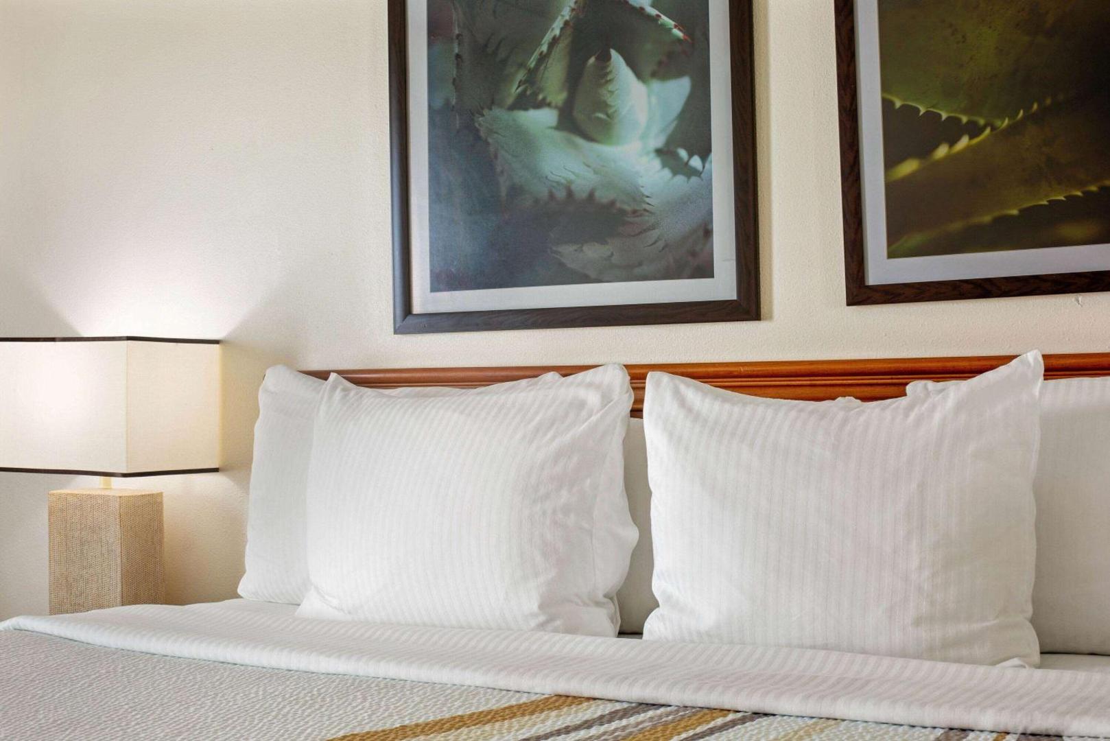 La Quinta Inn & Suites by Wyndham Sawgrass