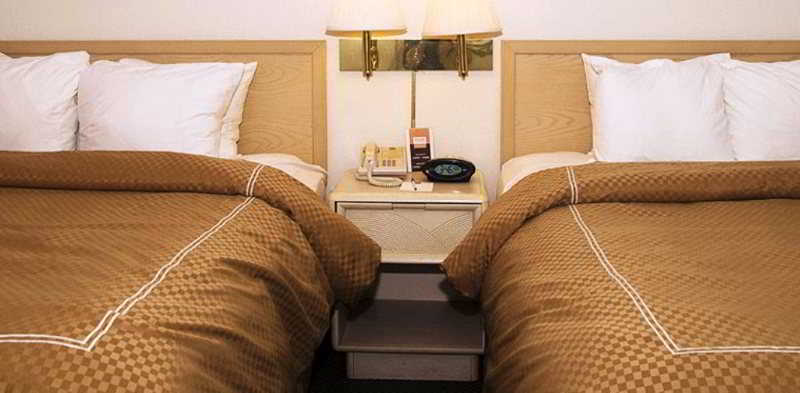 Comfort Suites Tampa - Brandon