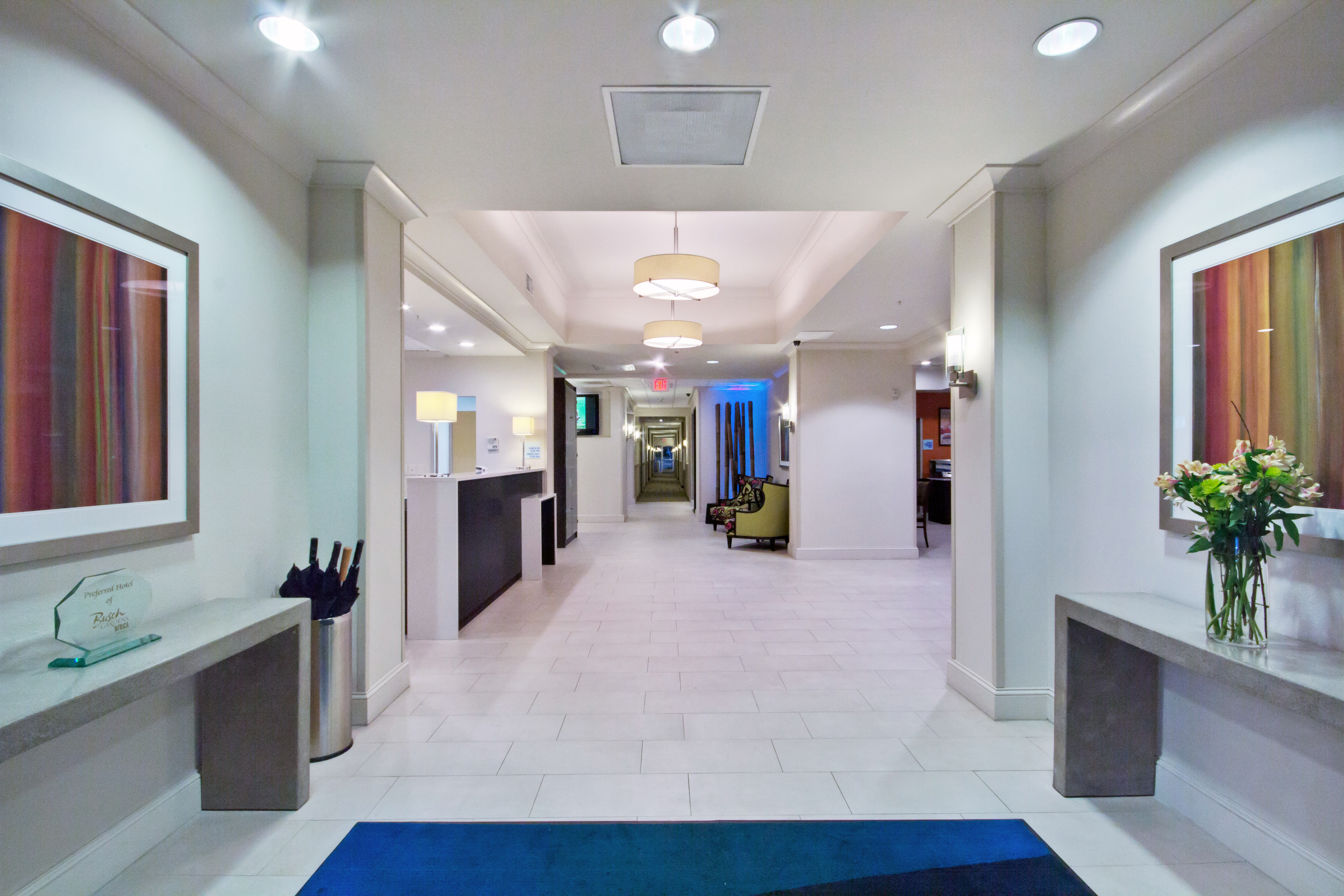 Holiday Inn Express & Suites Tampa - I-75 @ Bruce B. Downs