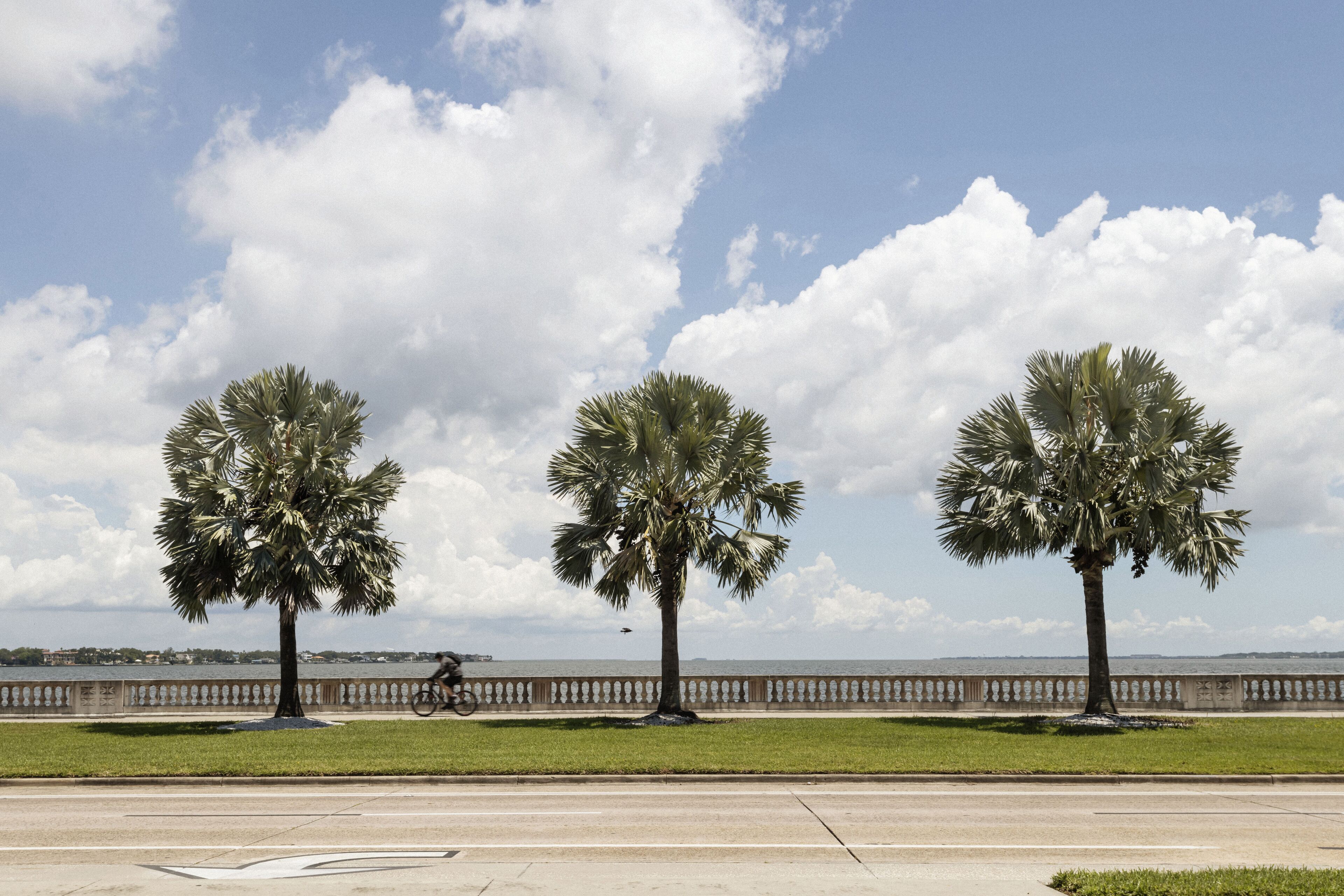 Roost Tampa