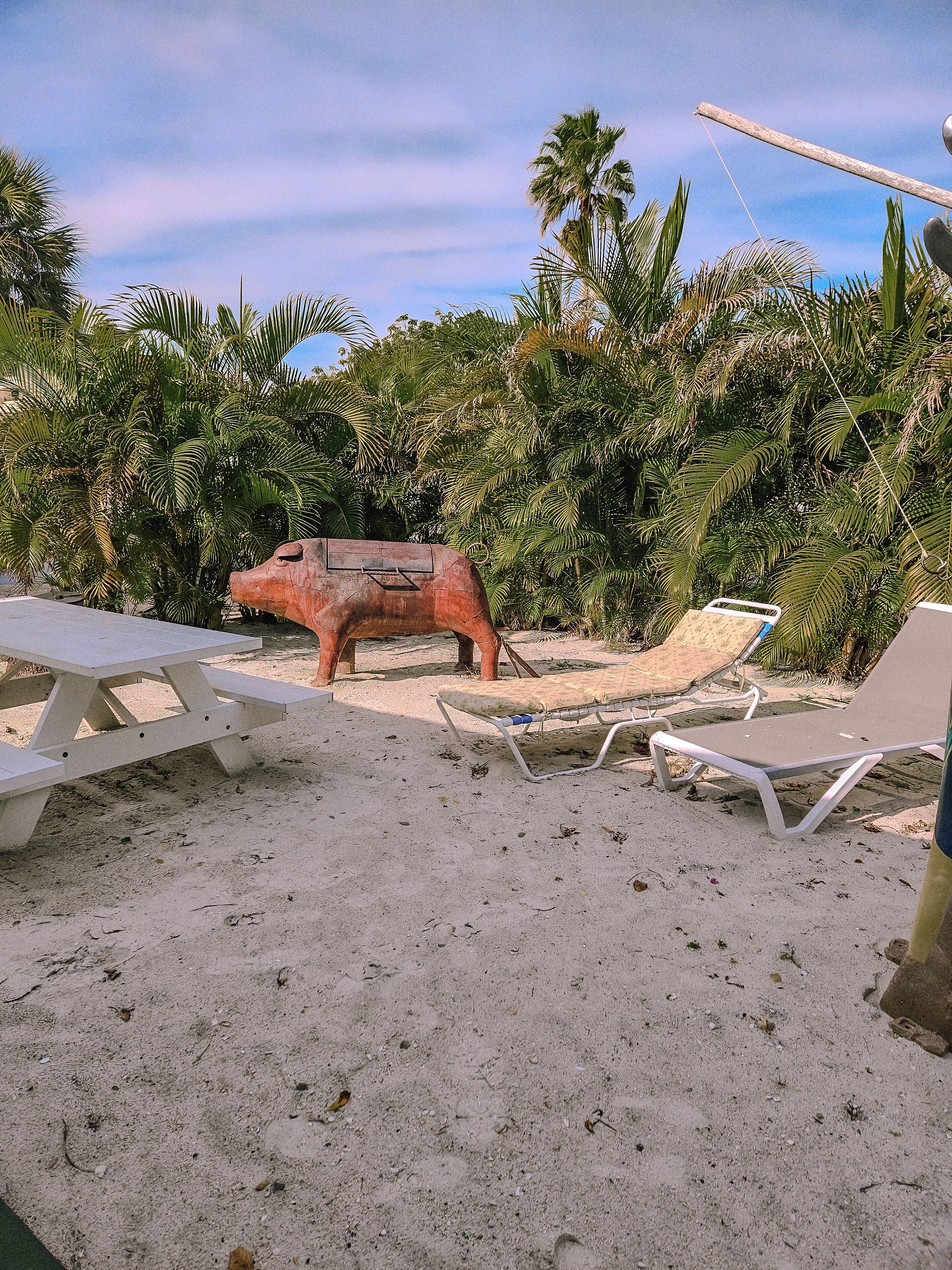 Oasis Palms Resort