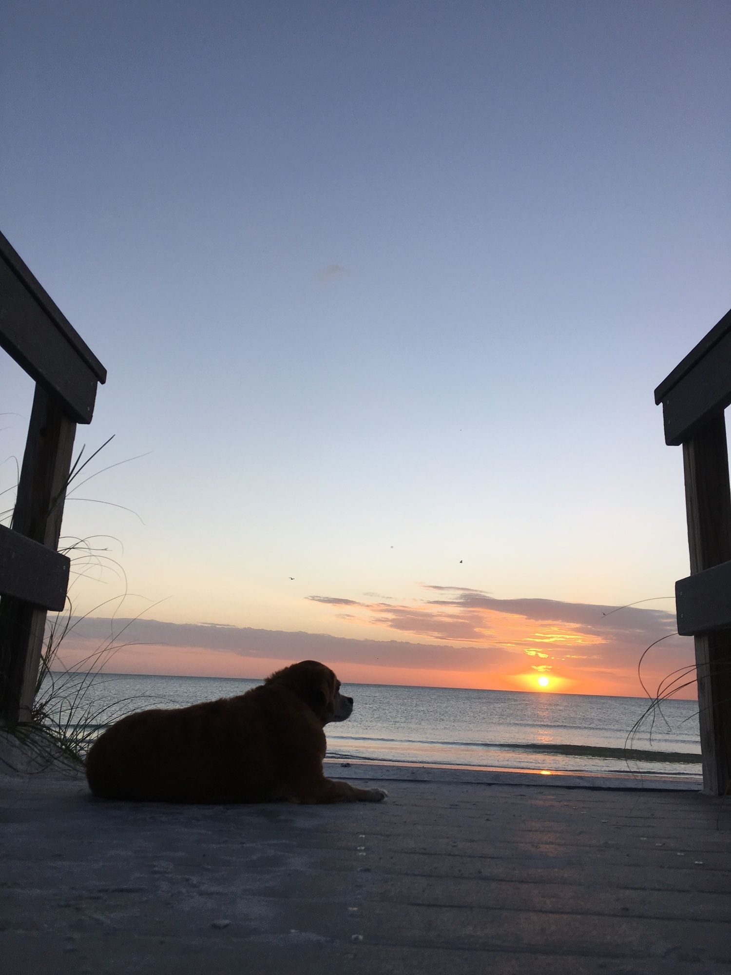 Sunset Inn & Cottages