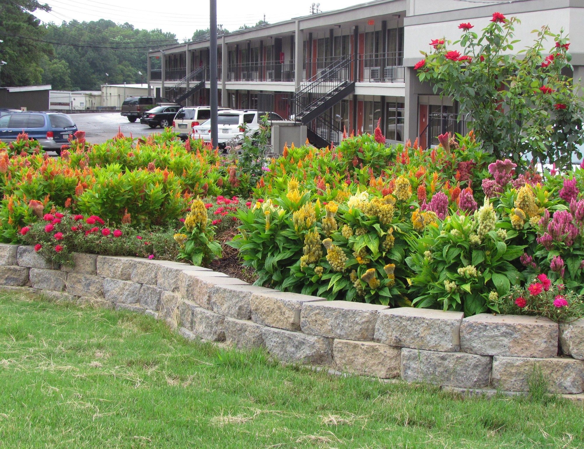 Red Carpet Inn Augusta