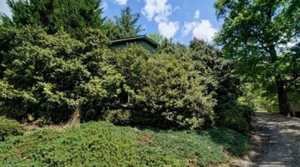 Paradise Cabins, Resort & Spa