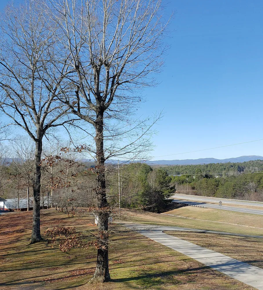 Blue Heaven Bed & Breakfast