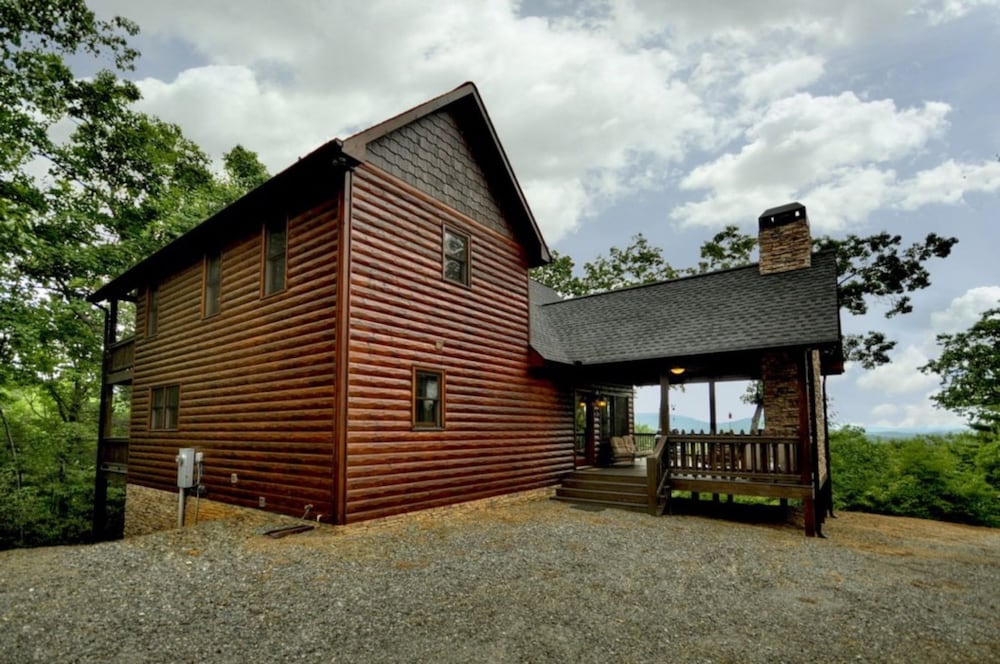 Treasure In The Trees