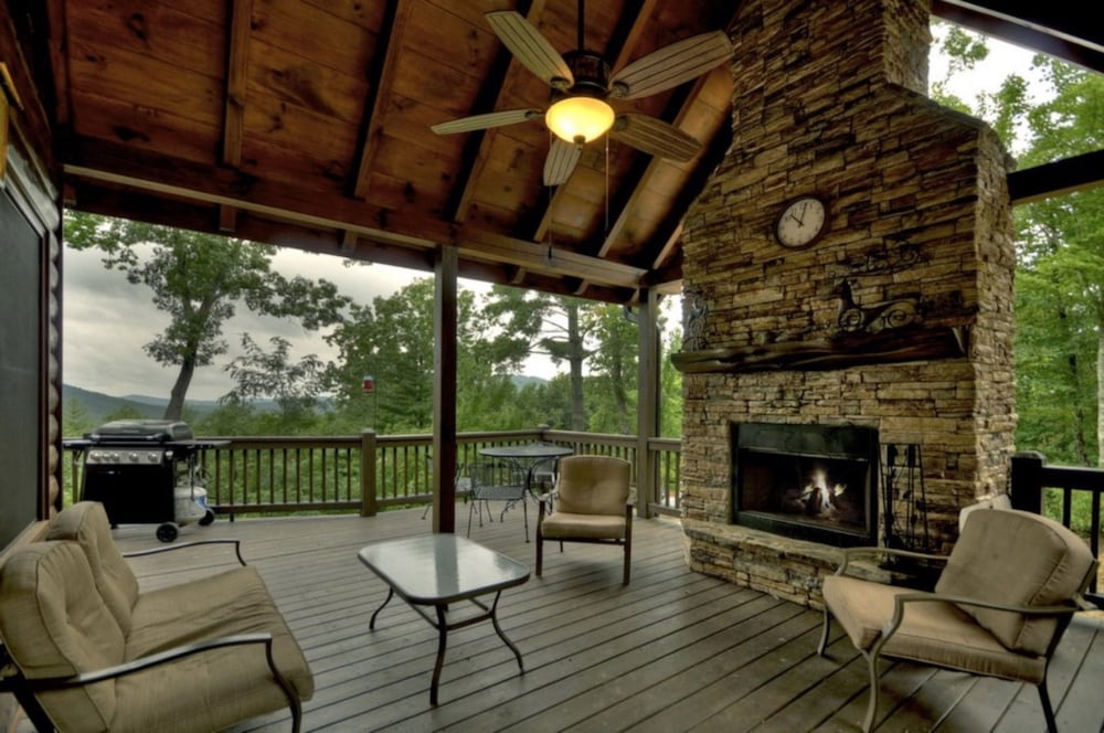 Treasure In The Trees