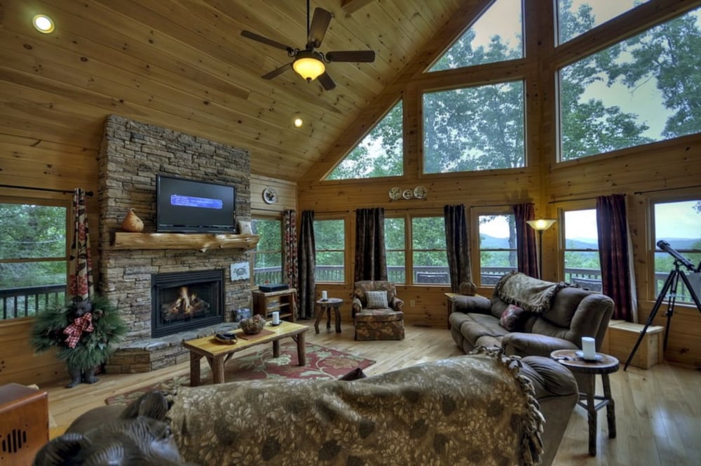 Treasure In The Trees