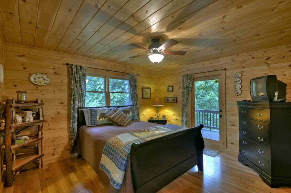 Treasure In The Trees