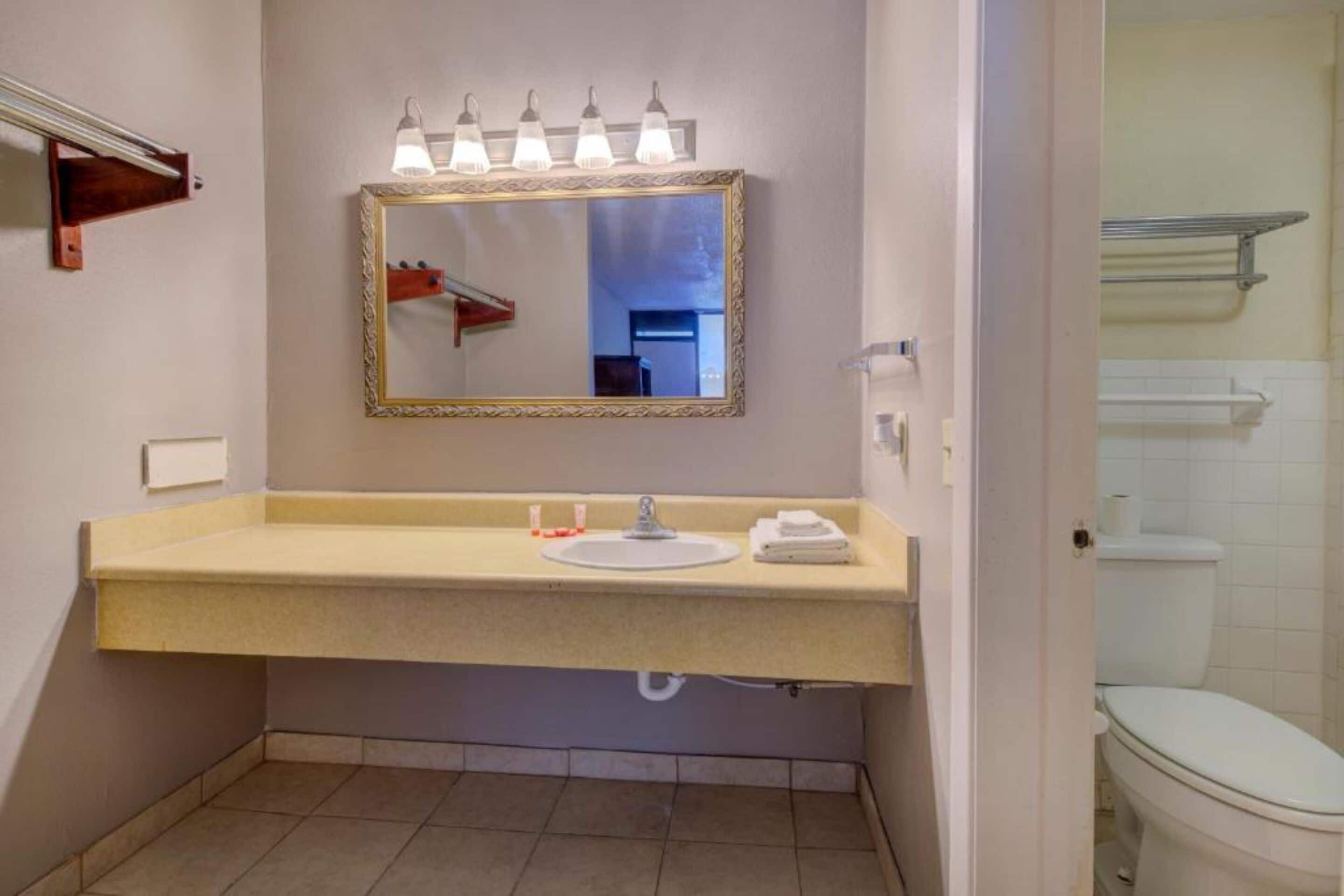 OYO Hotel Douglas GA US-441