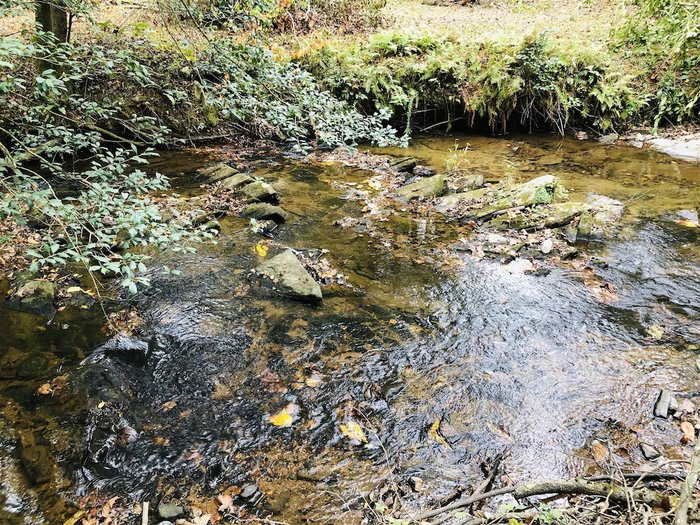 Covered Bridge Cabin