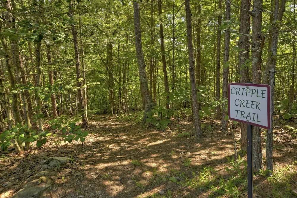 Snuggle Inn & Treehouse