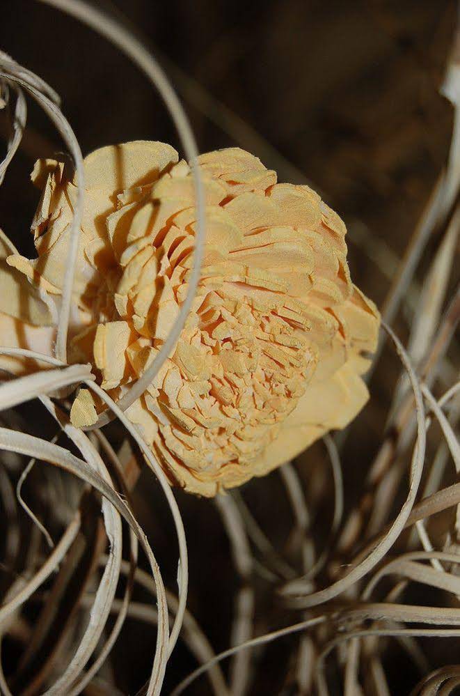 Serenity Pointe Bed and Breakfast