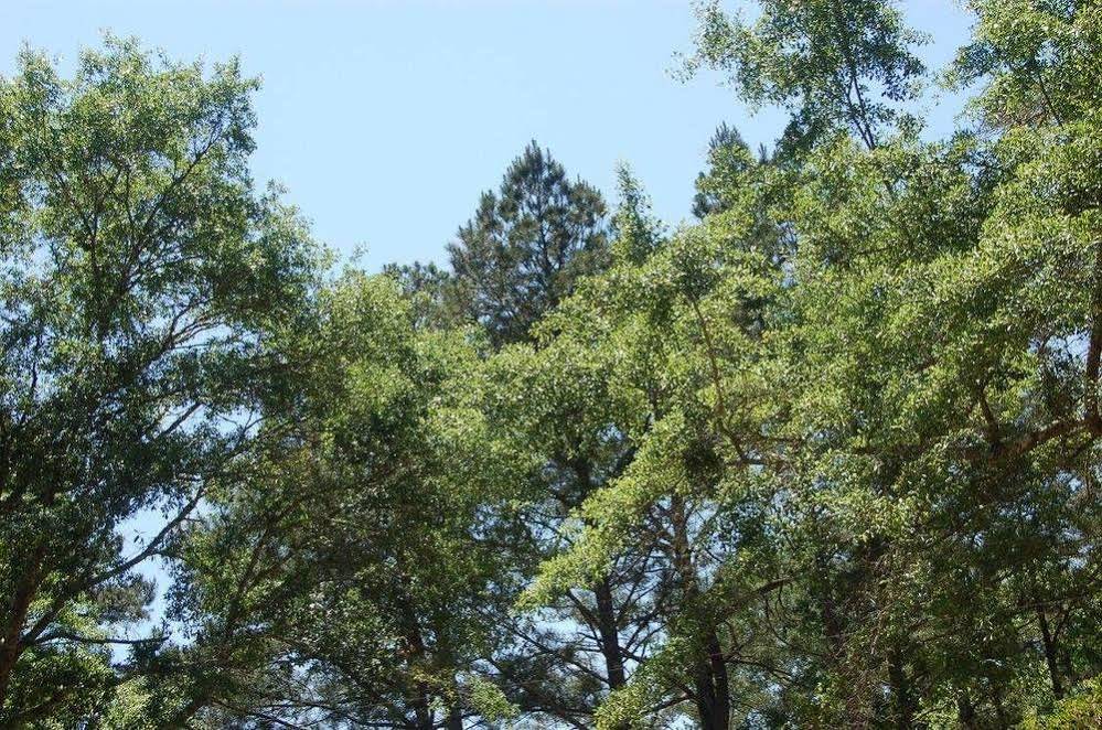 Serenity Pointe Bed and Breakfast