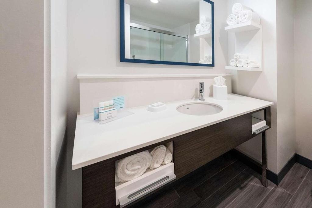 Hampton Inn & Suites Snellville Atlanta NE