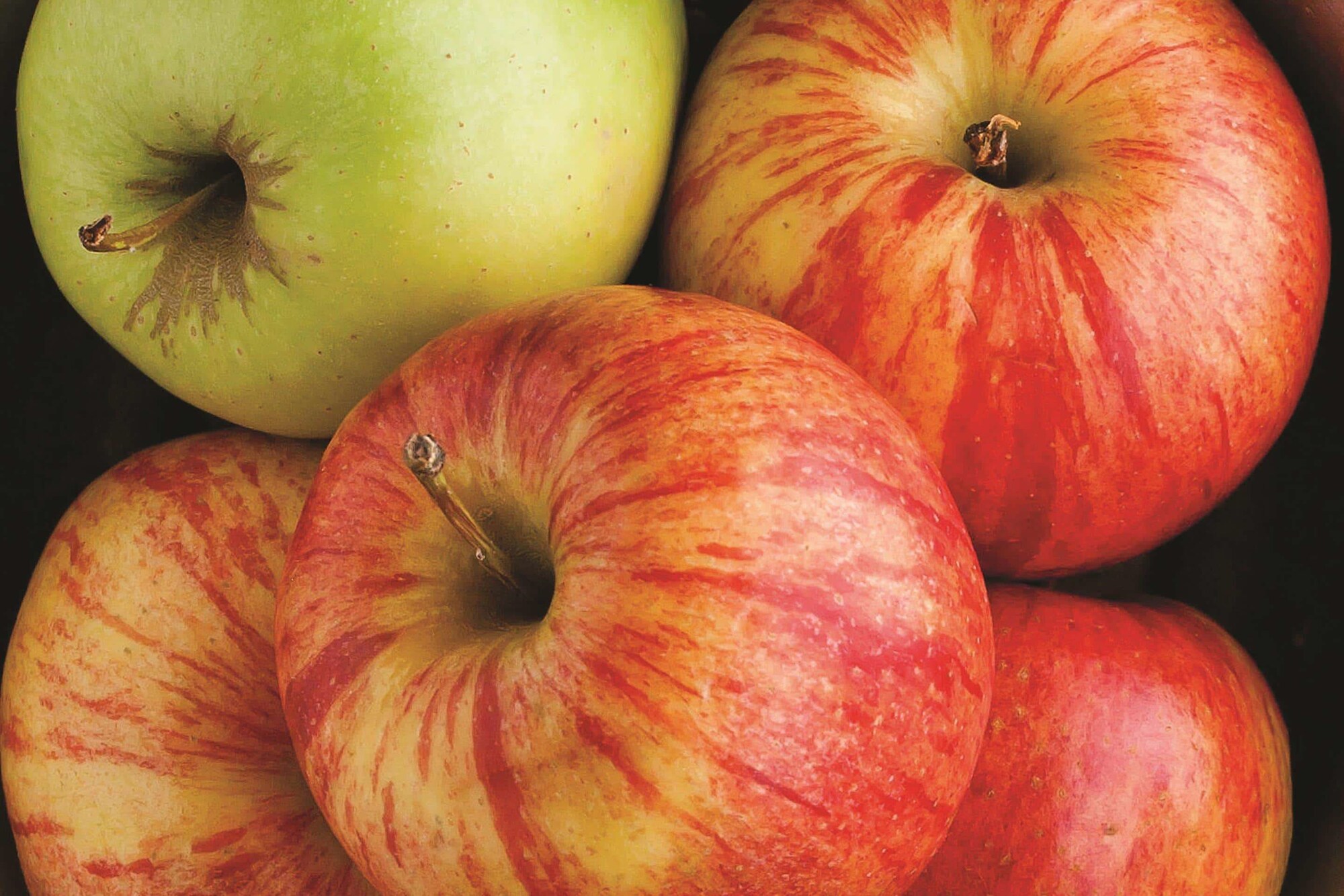 La Quinta Inn & Suites by Wyndham Snellville - Stone Mountain