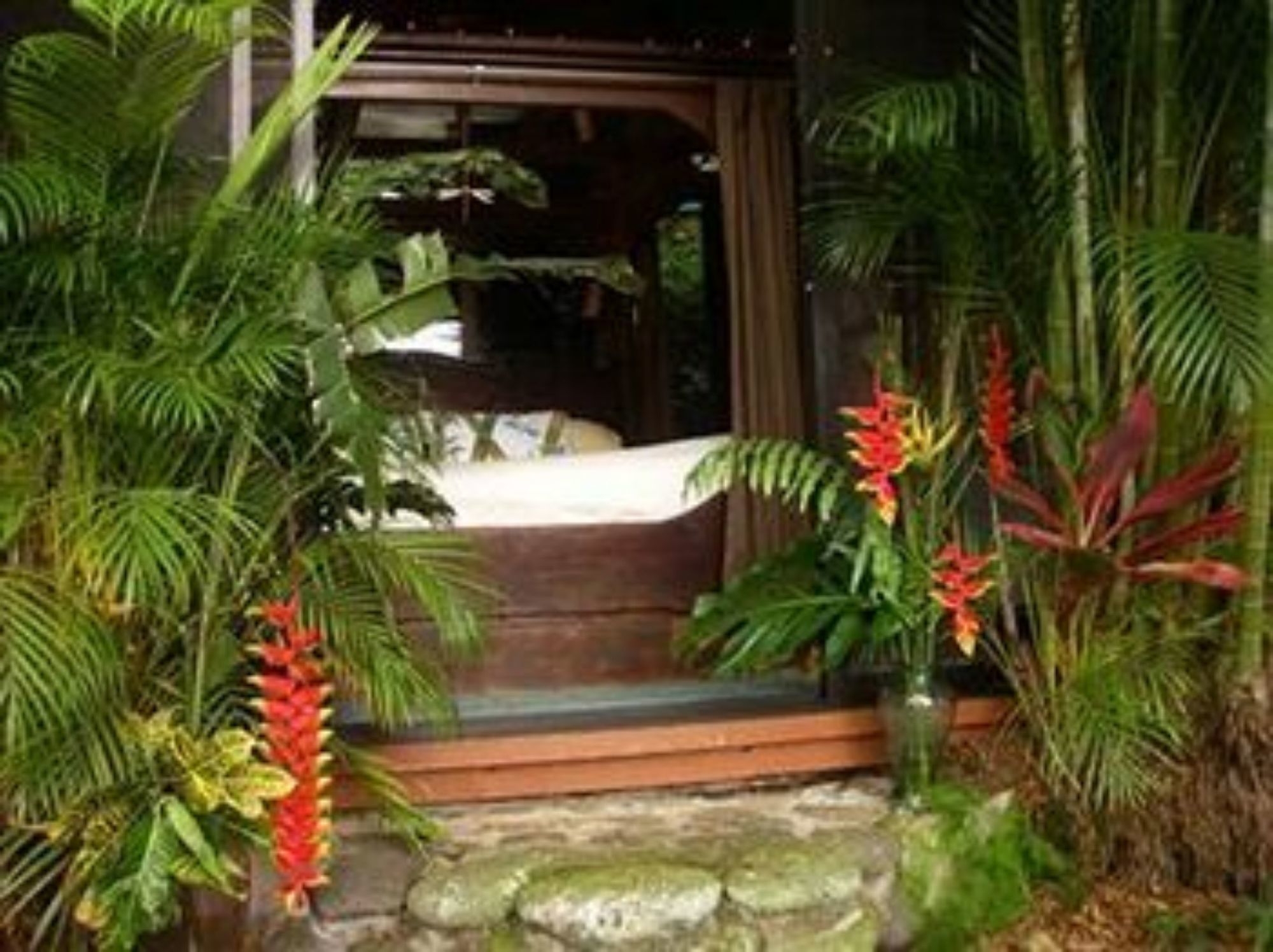 Dragonfly Ranch