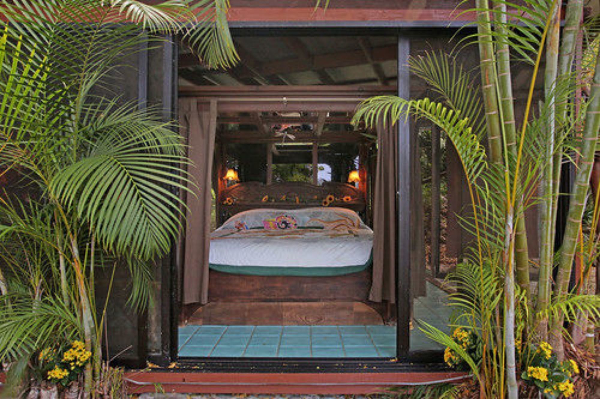 Dragonfly Ranch