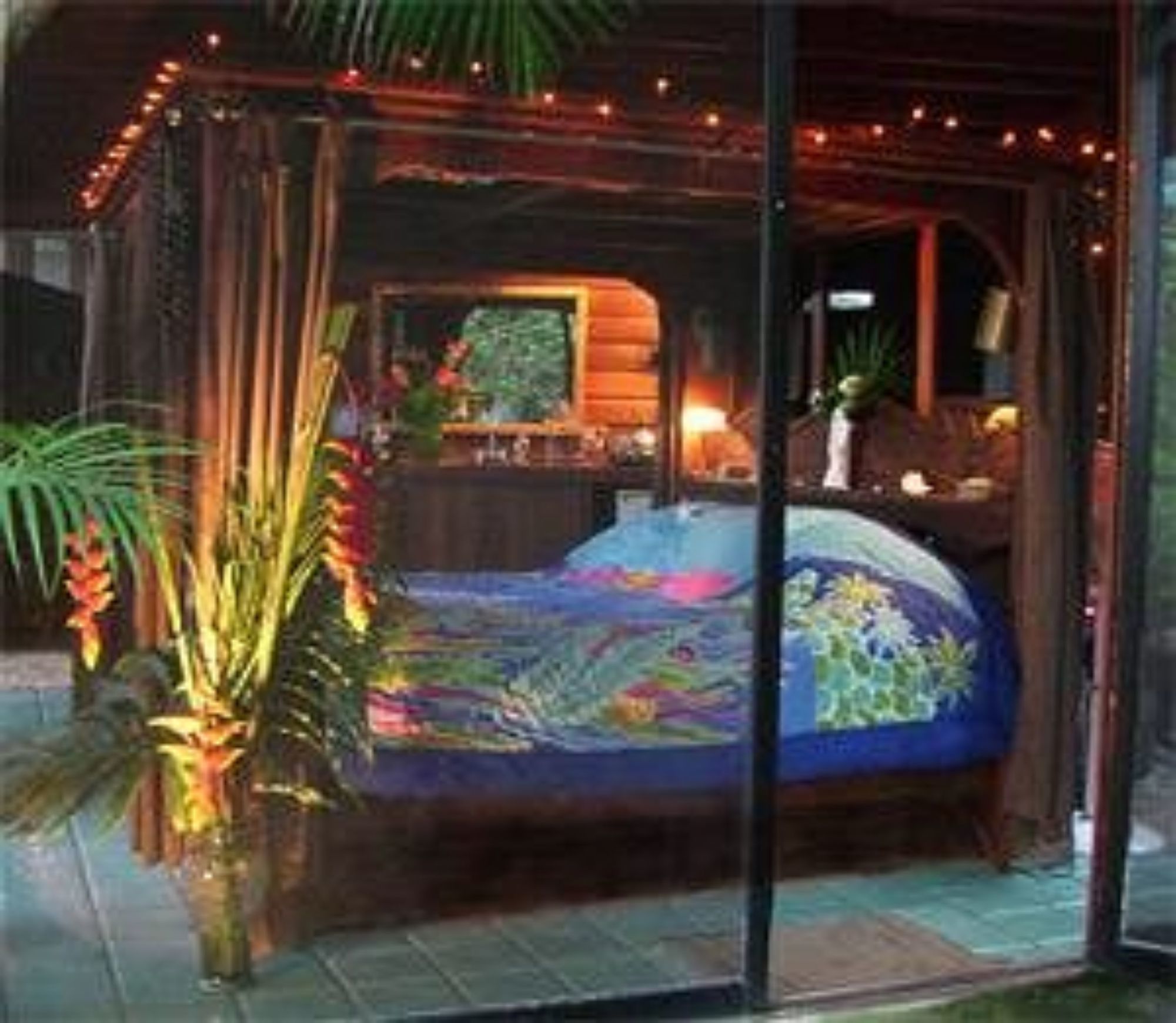 Dragonfly Ranch