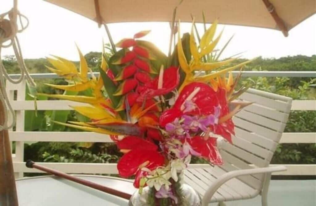 Hale Hoola B&B