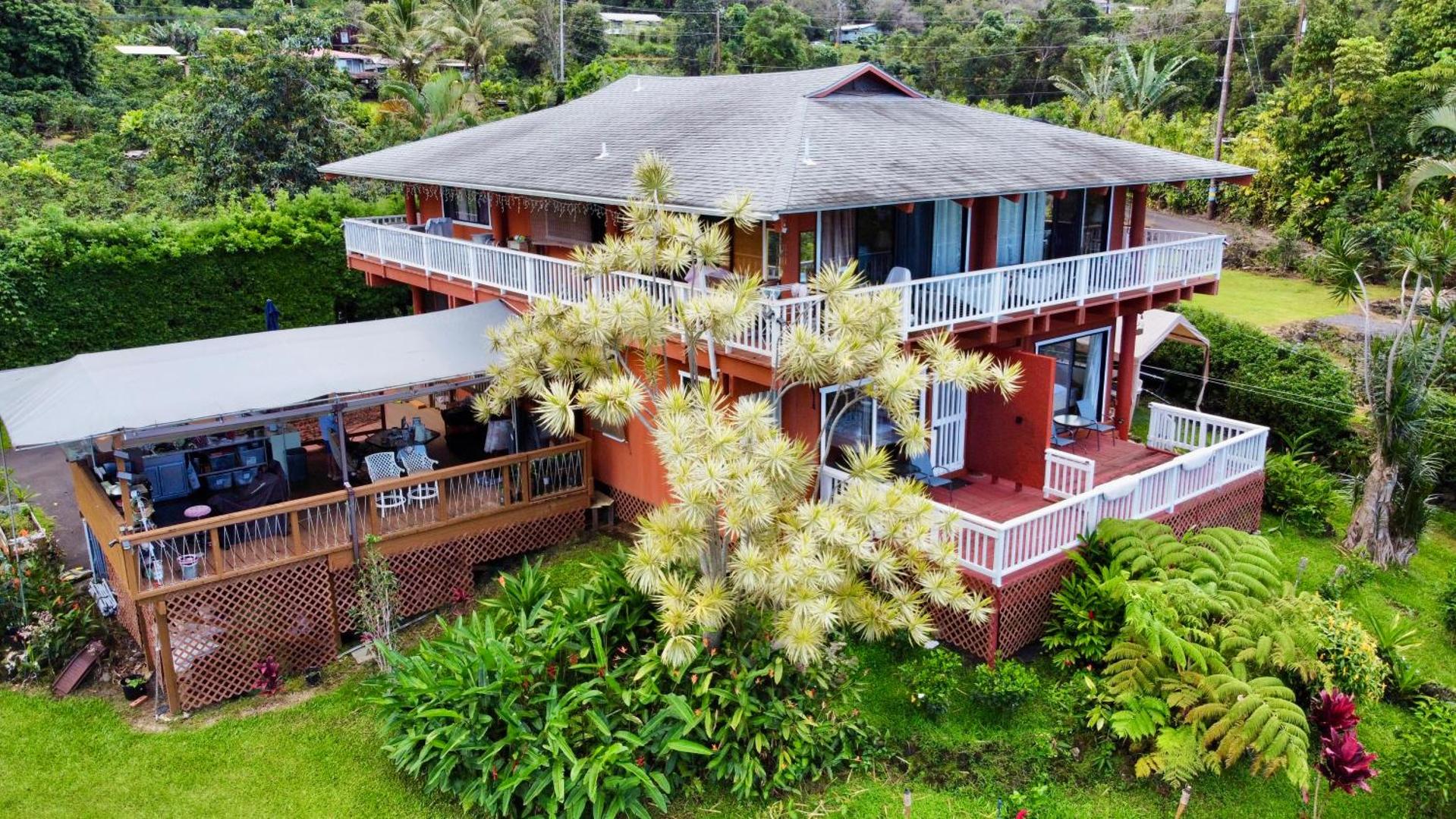 Hawaii Belt Coffee Garden