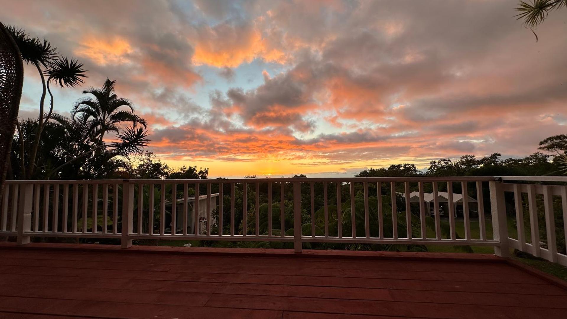 Hawaii Belt Coffee Garden