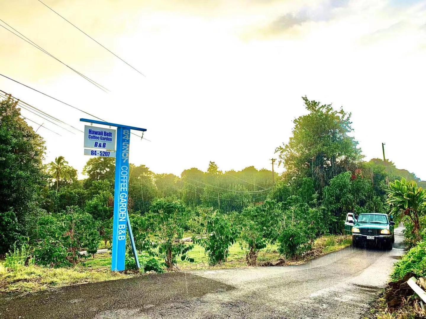 Hawaii Belt Coffee Garden