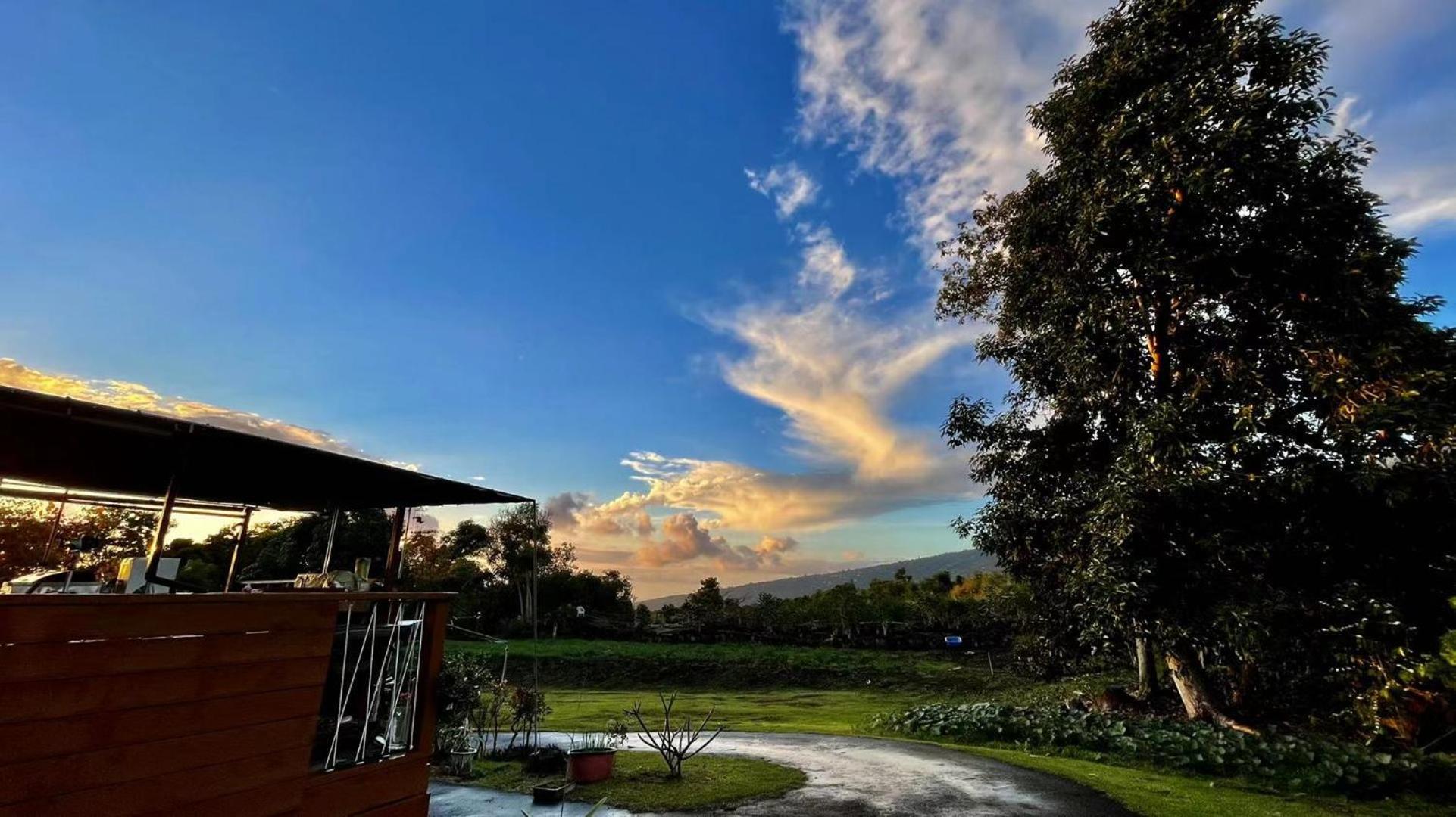 Hawaii Belt Coffee Garden