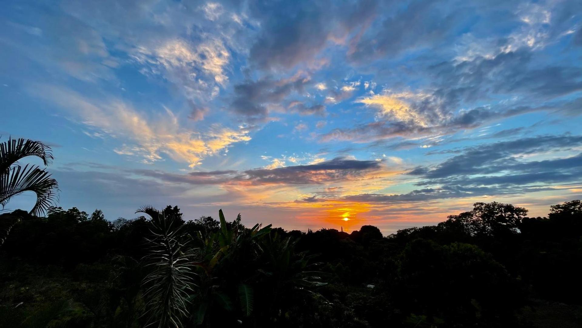 Hawaii Belt Coffee Garden