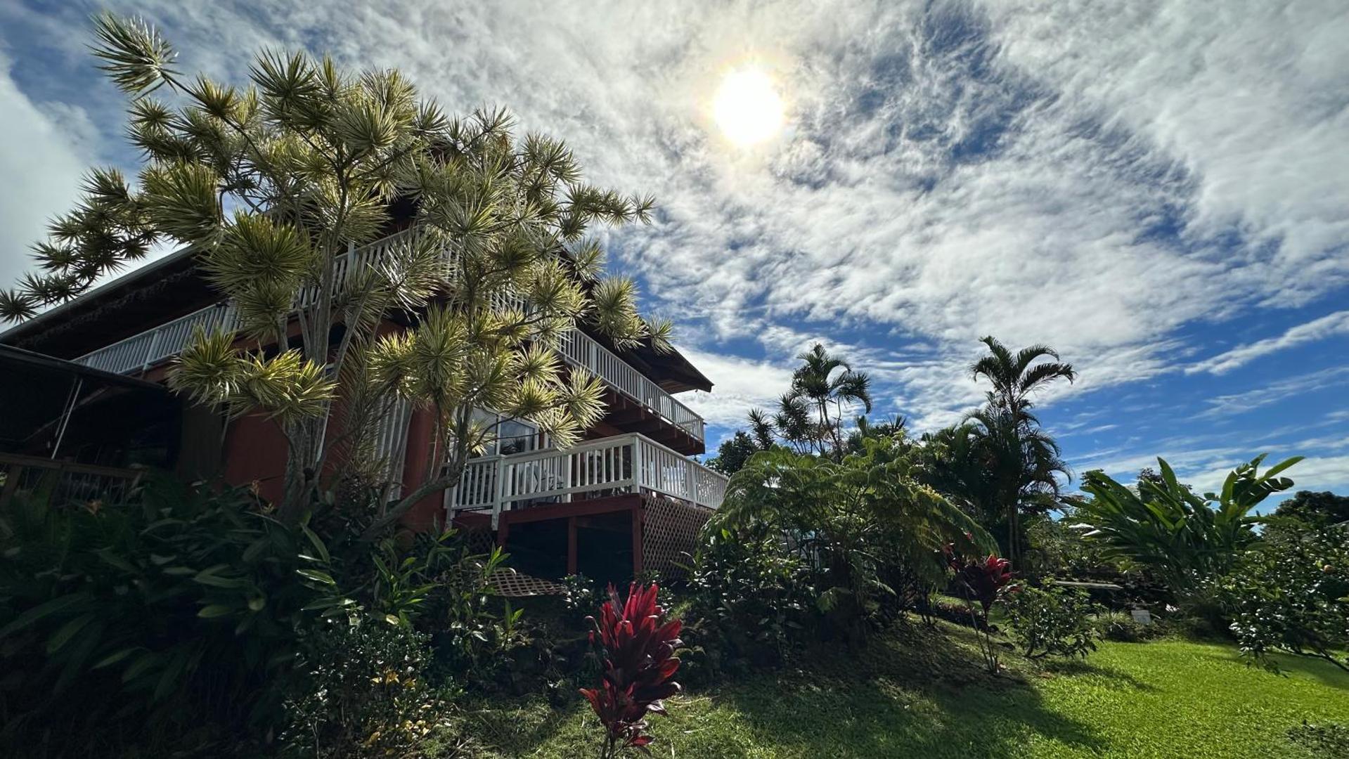 Hawaii Belt Coffee Garden