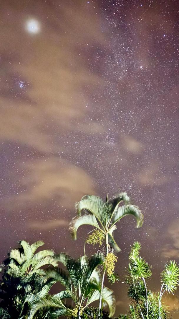 Hawaii Belt Coffee Garden