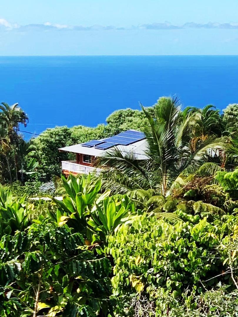 Hawaii Belt Coffee Garden