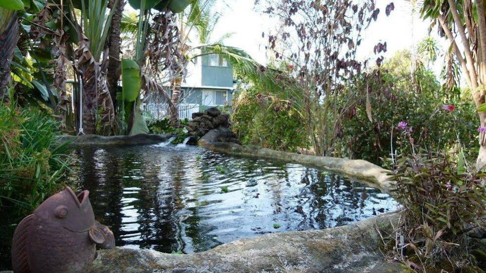 The Rainbow Plantation Bed & Breakfast