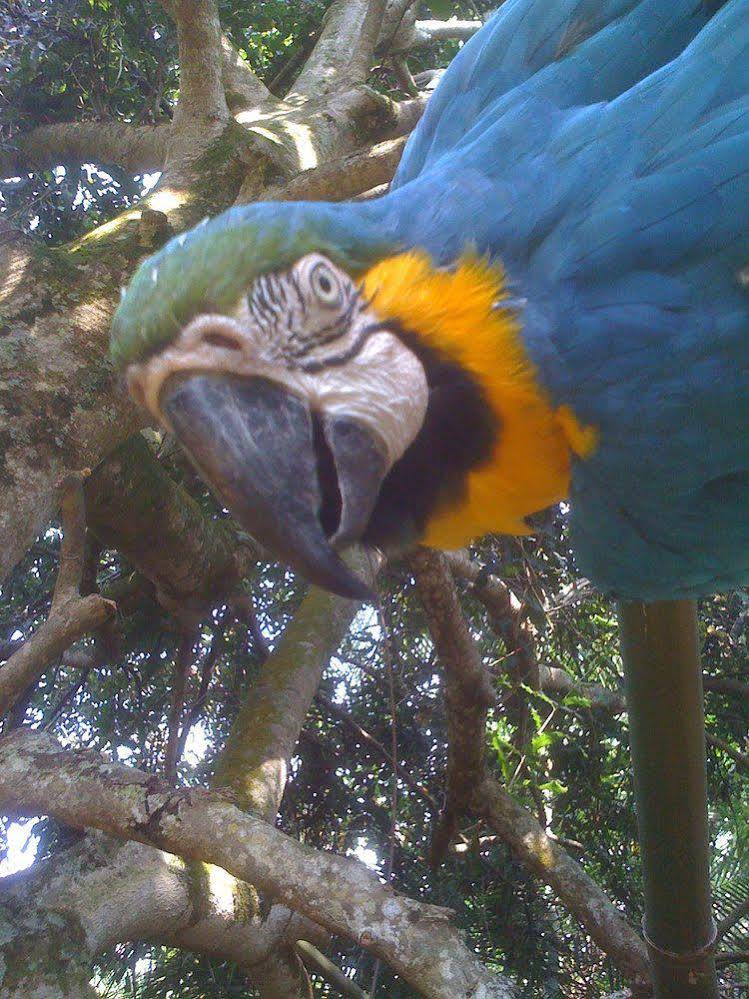 The Rainbow Plantation Bed & Breakfast