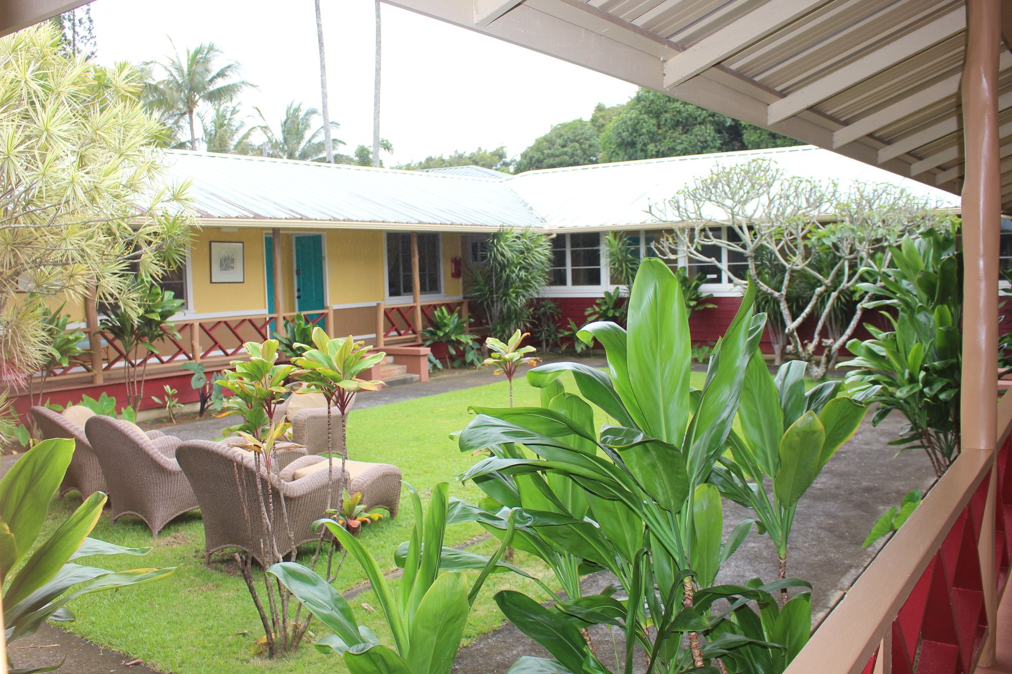 Kohala Village Hub