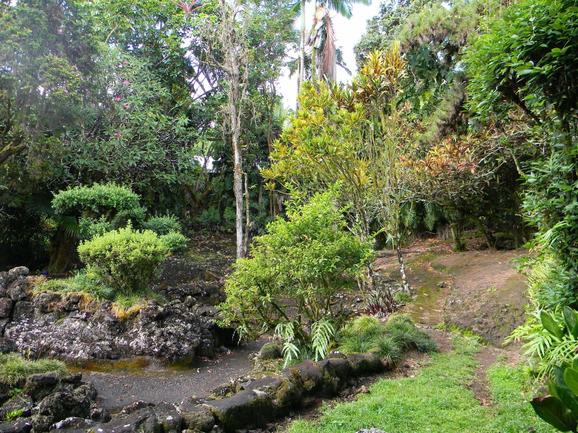 Maureen's Bed and Breakfast