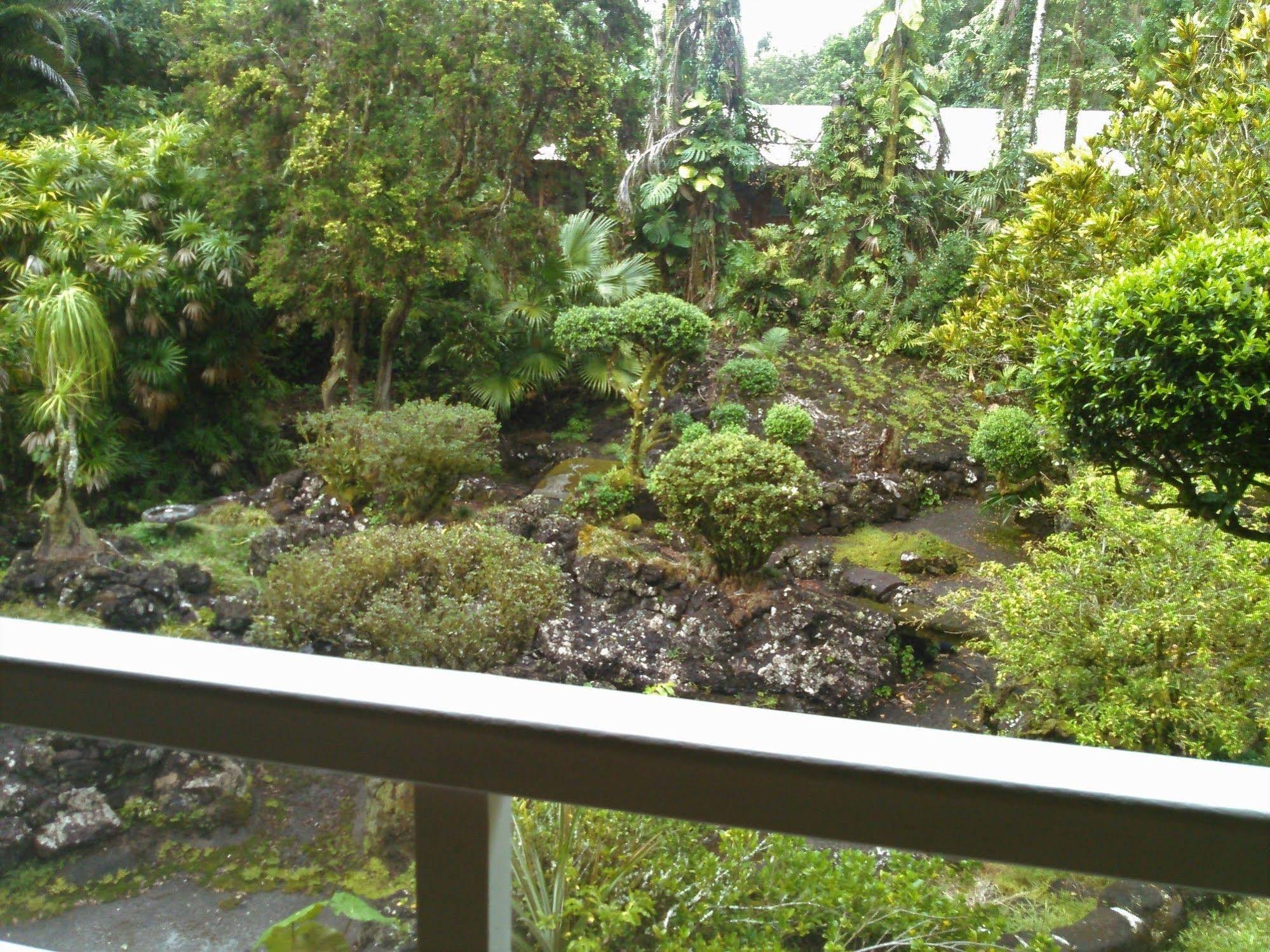 Maureen's Bed and Breakfast