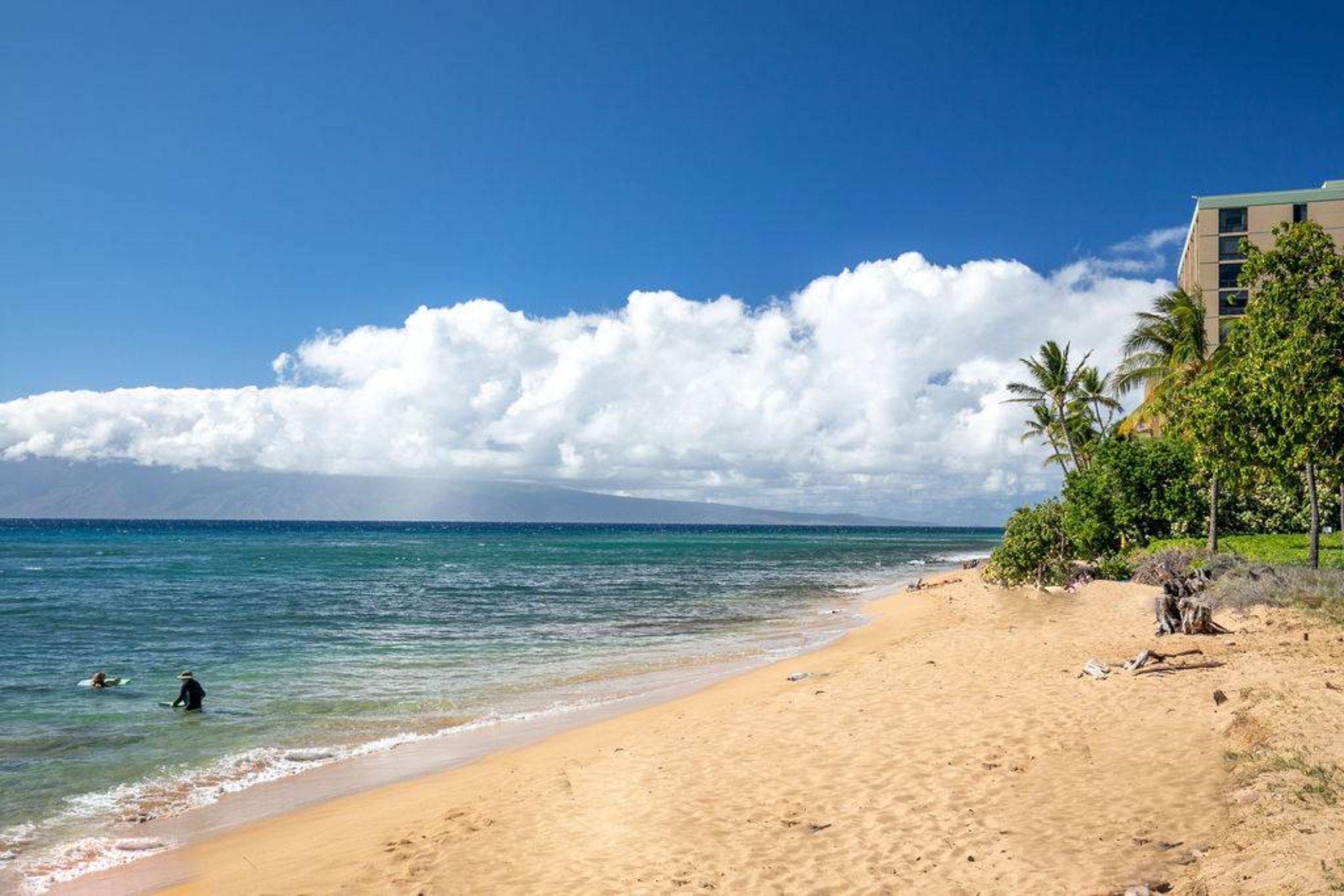 Honua Kai by RedAwning