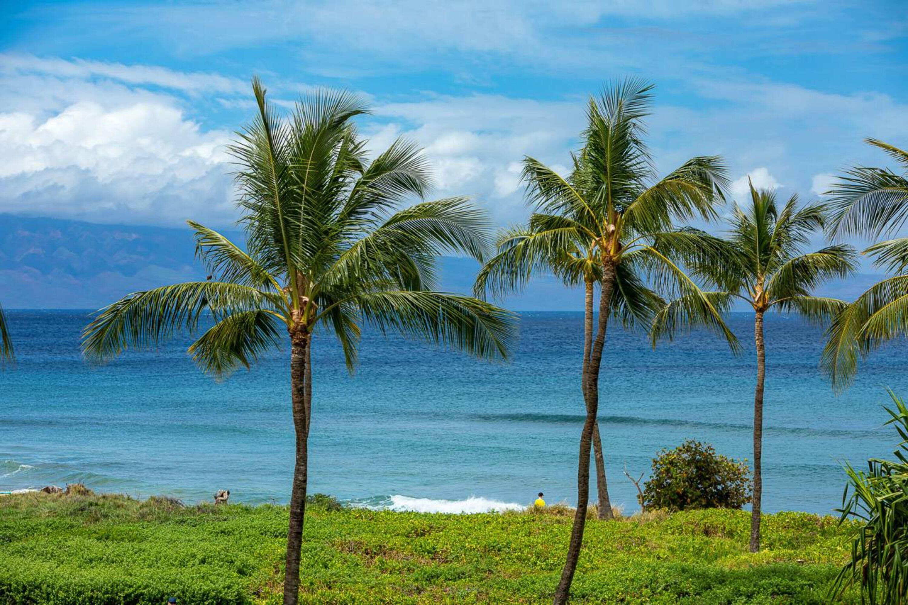 Honua Kai by RedAwning