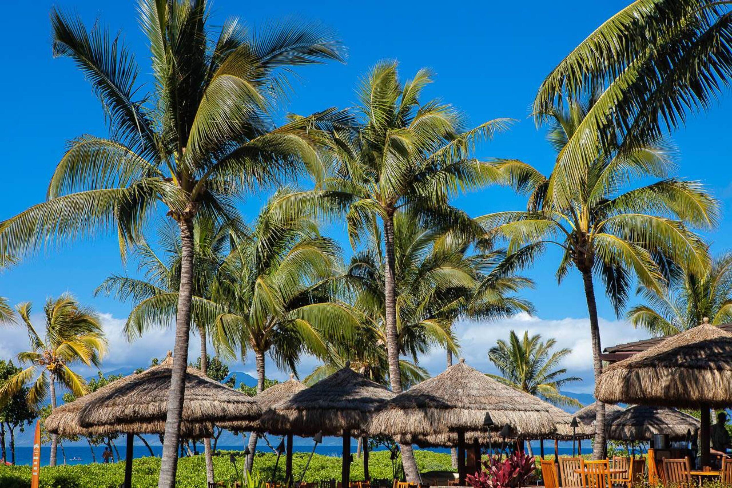 Honua Kai by RedAwning