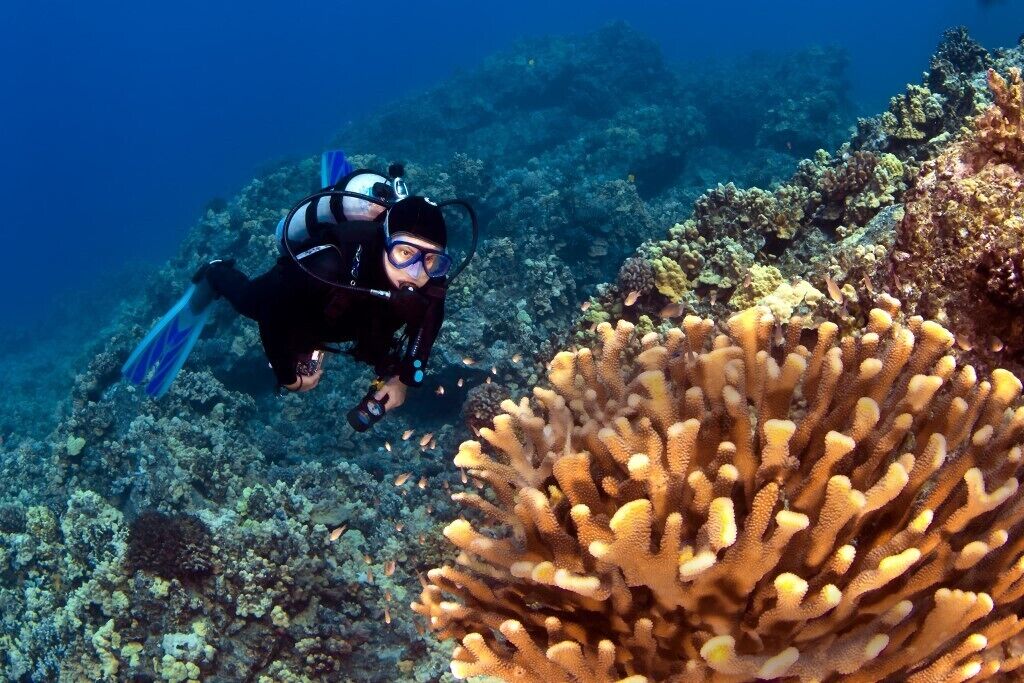 Honua Kai - Hokulani