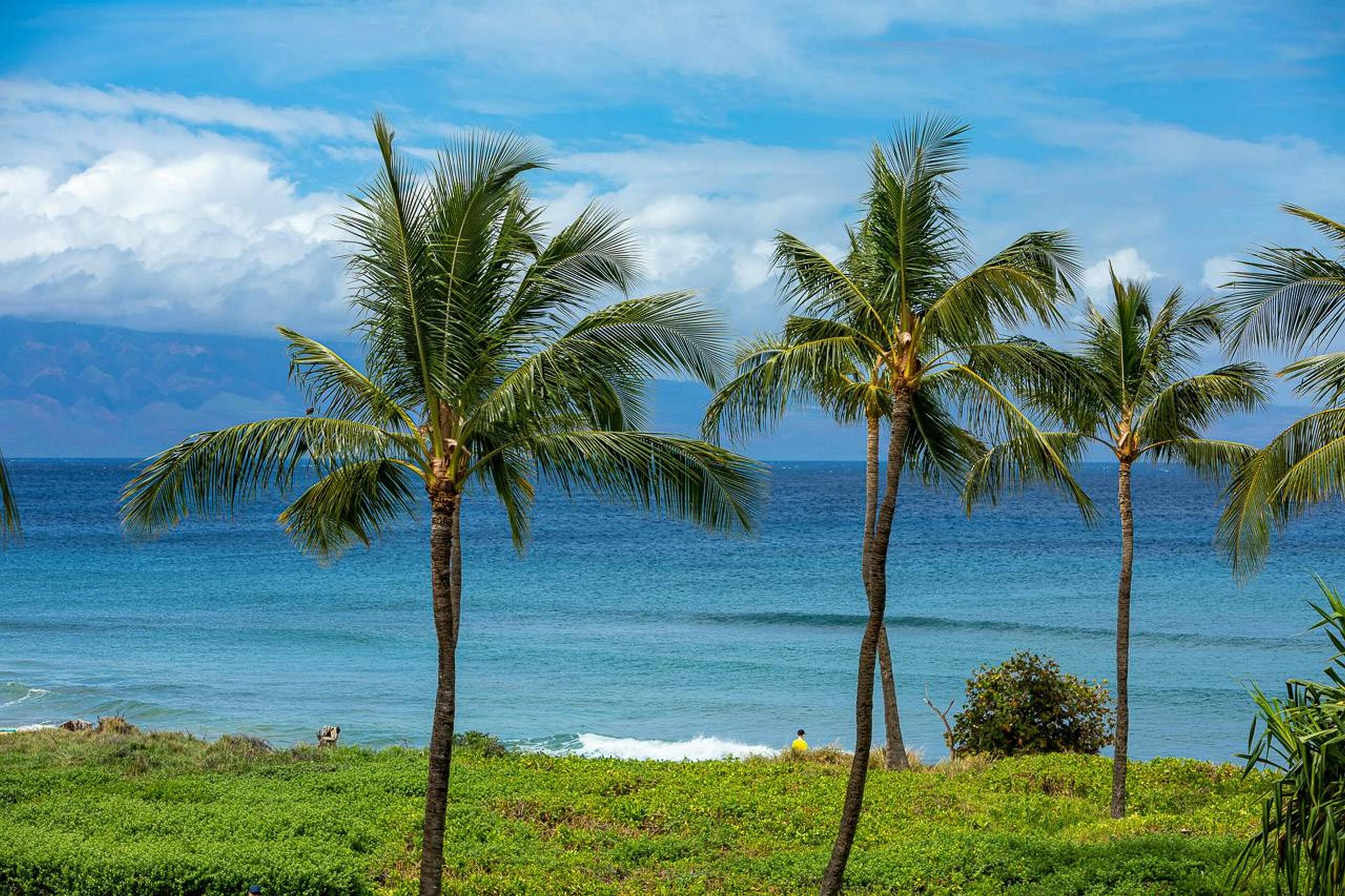 Hokulani by Coldwell Banker Island Vacations