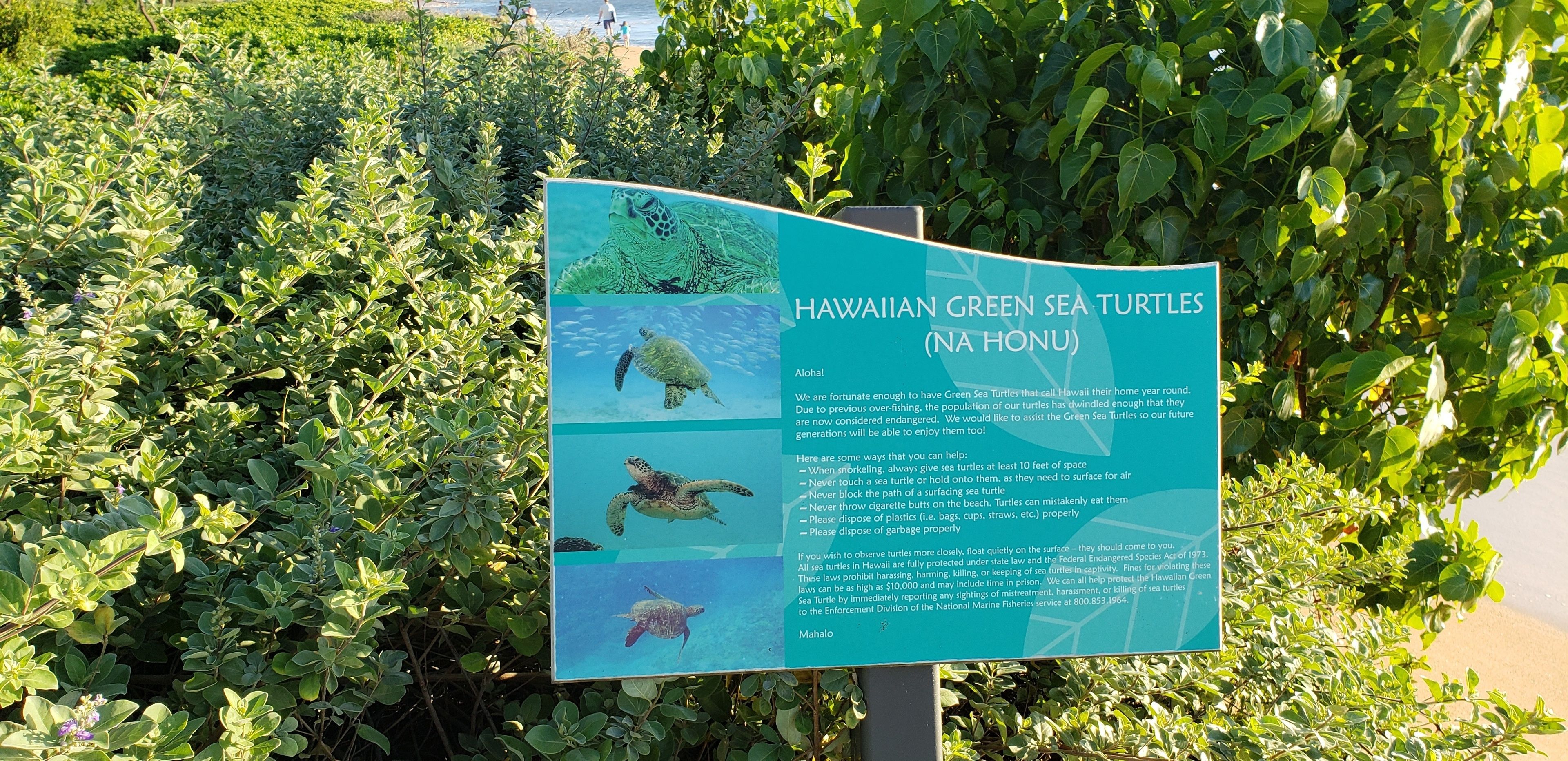 Hokulani by Maui Westside Properties