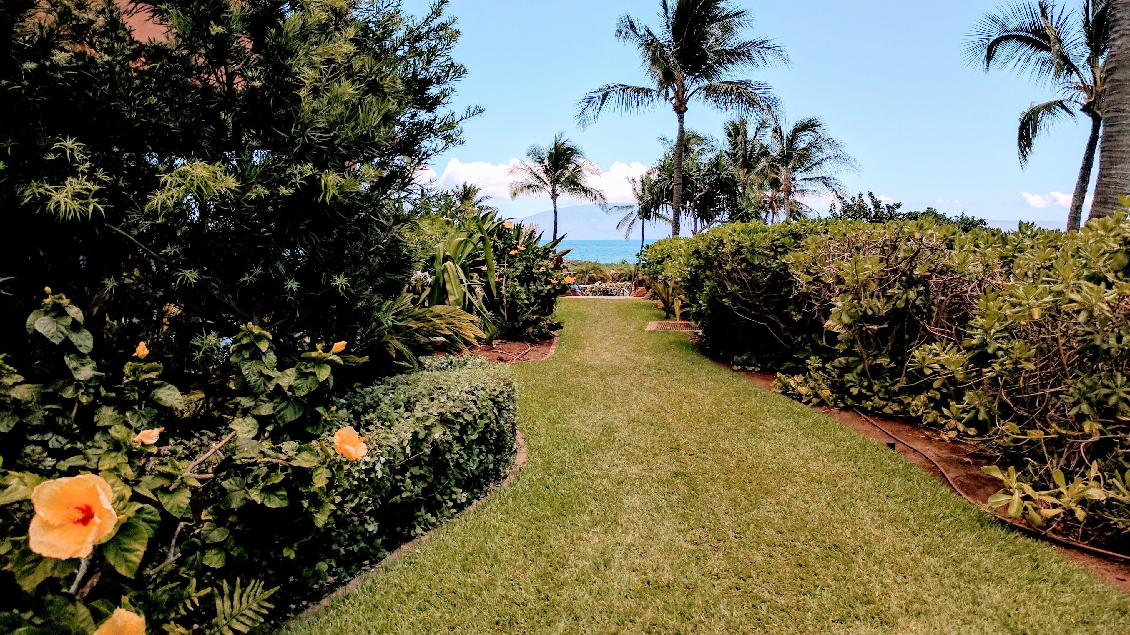Honua Kai - Konea